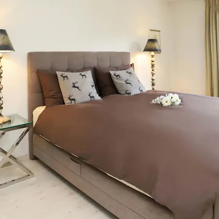 Allod Park Haus C 401 By Interhome * Davos