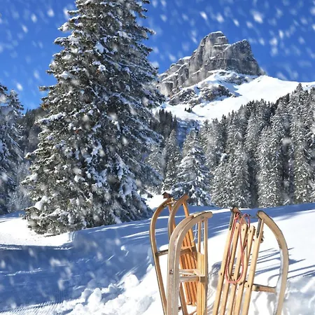 Allod Park Haus C 401 By Interhome * Davos